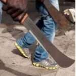 CP-with-Cultist-cutlass (2)