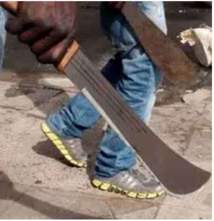 Edo Police Arrest Four Suspected Cultists in Auchi Raids