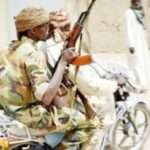 Bandit (2024_12_24 11_24_25 UTC)