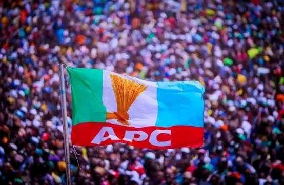 APC wins in 3 LGAs, PDP takes one as INEC prepares to declare results in the remaining two LGAs of the FCT local government elections