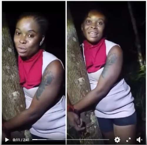 Online Date Turns Nightmare as Woman Is Tied to Tree, Robbed in Delta