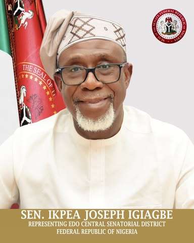 Edo Central APC Primary: Joseph Ikpea Floors Rivals With 20,118 Votes, Emerges Senatorial Candidate