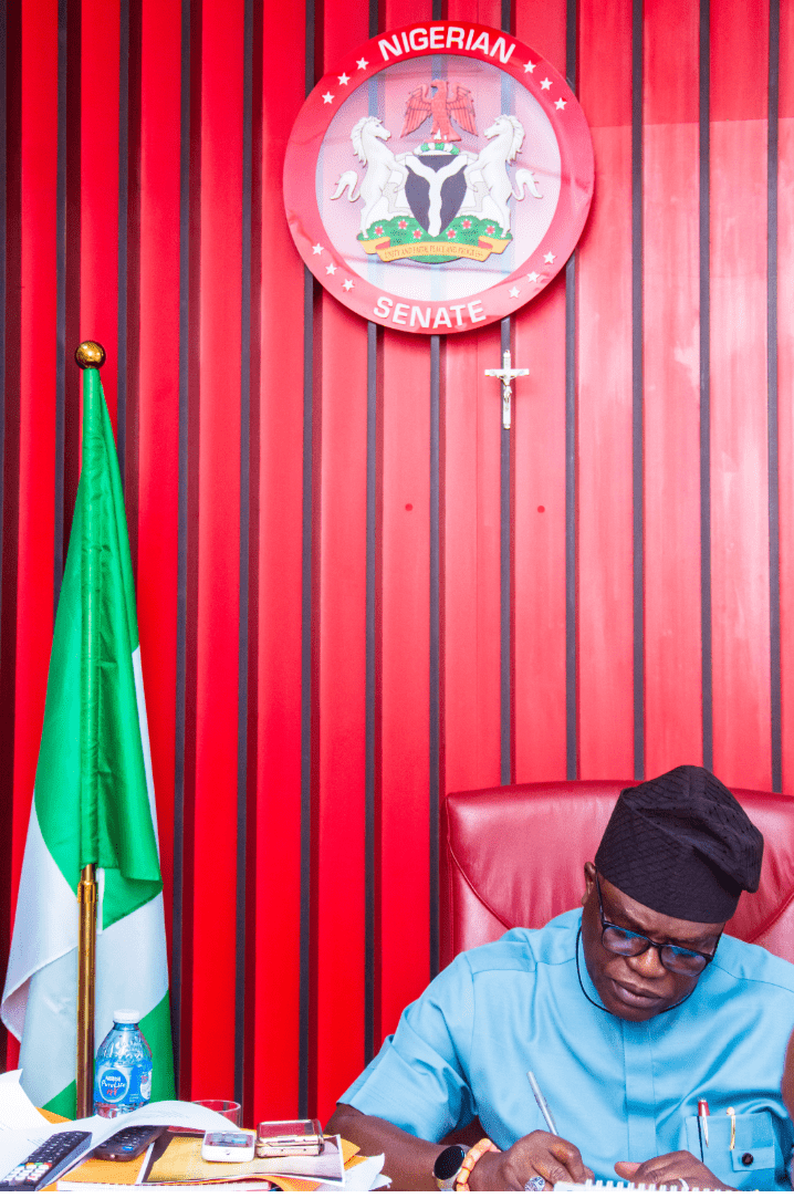 Infrastructure, Education, Healthcare and Empowerment: The Remarkable Impact of Senator Neda Imasuen in Edo South
