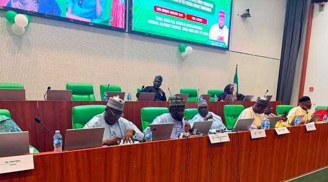 Reps Give IGP 48 Hours to Produce Alleged Fake Agency DG