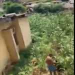 Anambra Lecturer Flees Through Window After Students Allege Misconduct Screenshot 2026-07-15 at 18-10-22 Anambra Lecturer Flees Through Window After Students Allege Misconduct - Search Results Facebook (2)