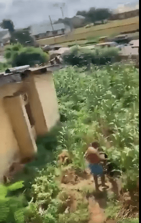 Anambra Lecturer Flees Through Window After Students Allege Misconduct