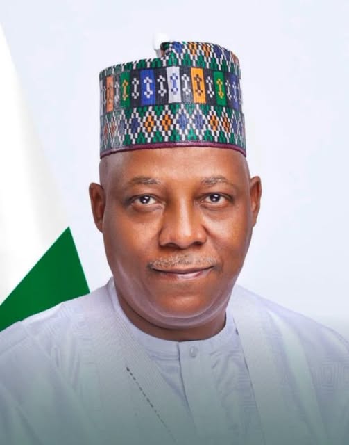 You Remain A Dependable Hand In Nation-Building’ — Governor Radda Salutes Shettima On Birthday