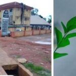 AAU Lecturer Found Dead After Hotel Rendezvous With 21-Year-Old Woman 825372460_122237576300316475_3572410044786476382_n (2)